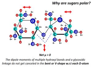 sugar polarity chart